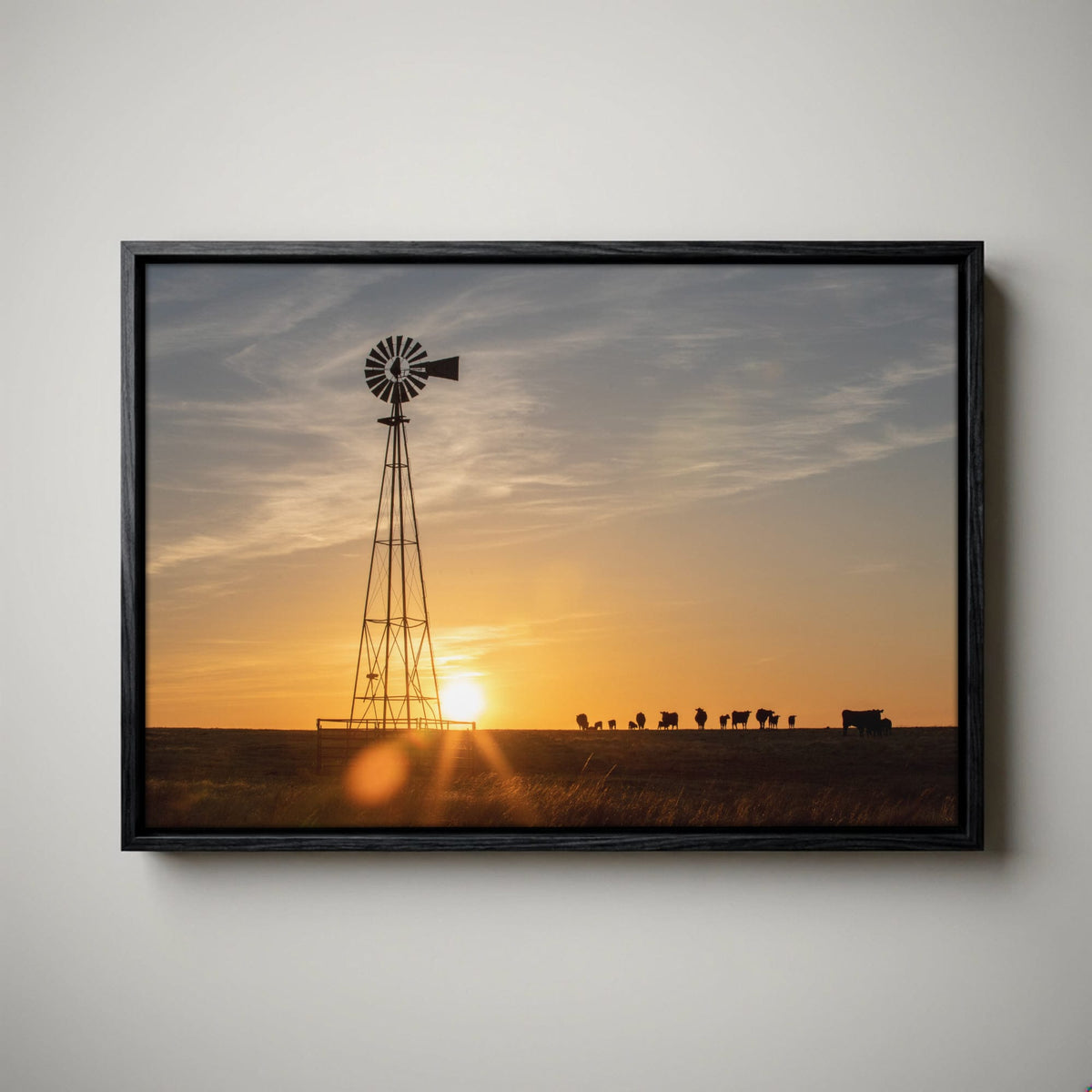 Old Windmill Canvas Print with Black Angus Cattle