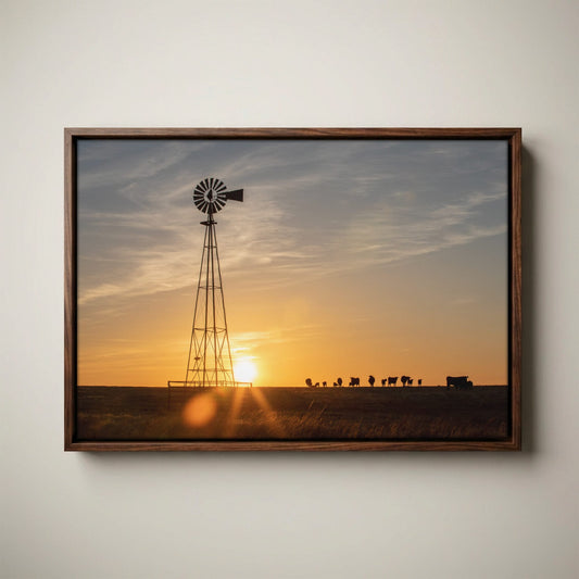 Old Windmill Canvas Print with Black Angus Cattle