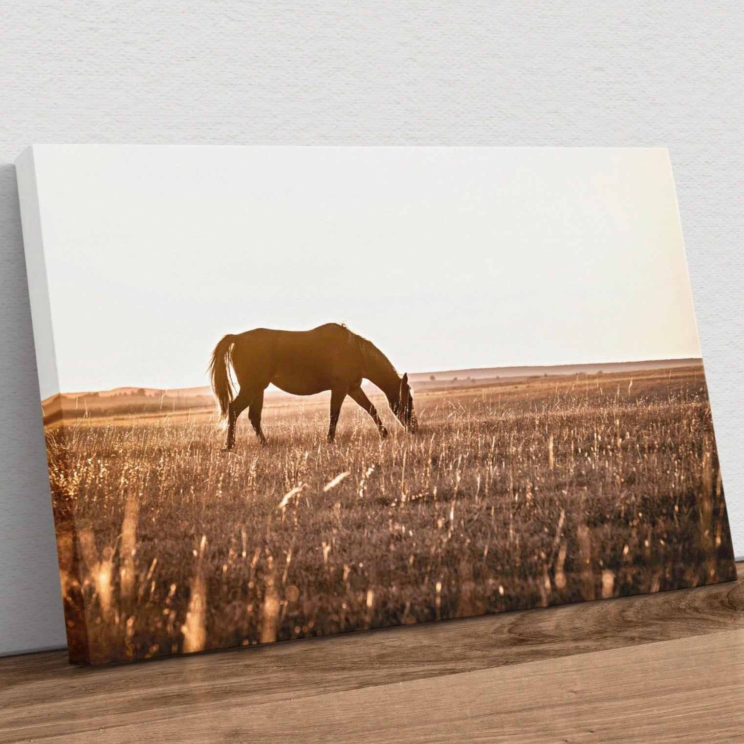 Osage County Horse Backlit by the Sun Canvas-Unframed / 12 x 18 Inches Wall Art Teri James Photography
