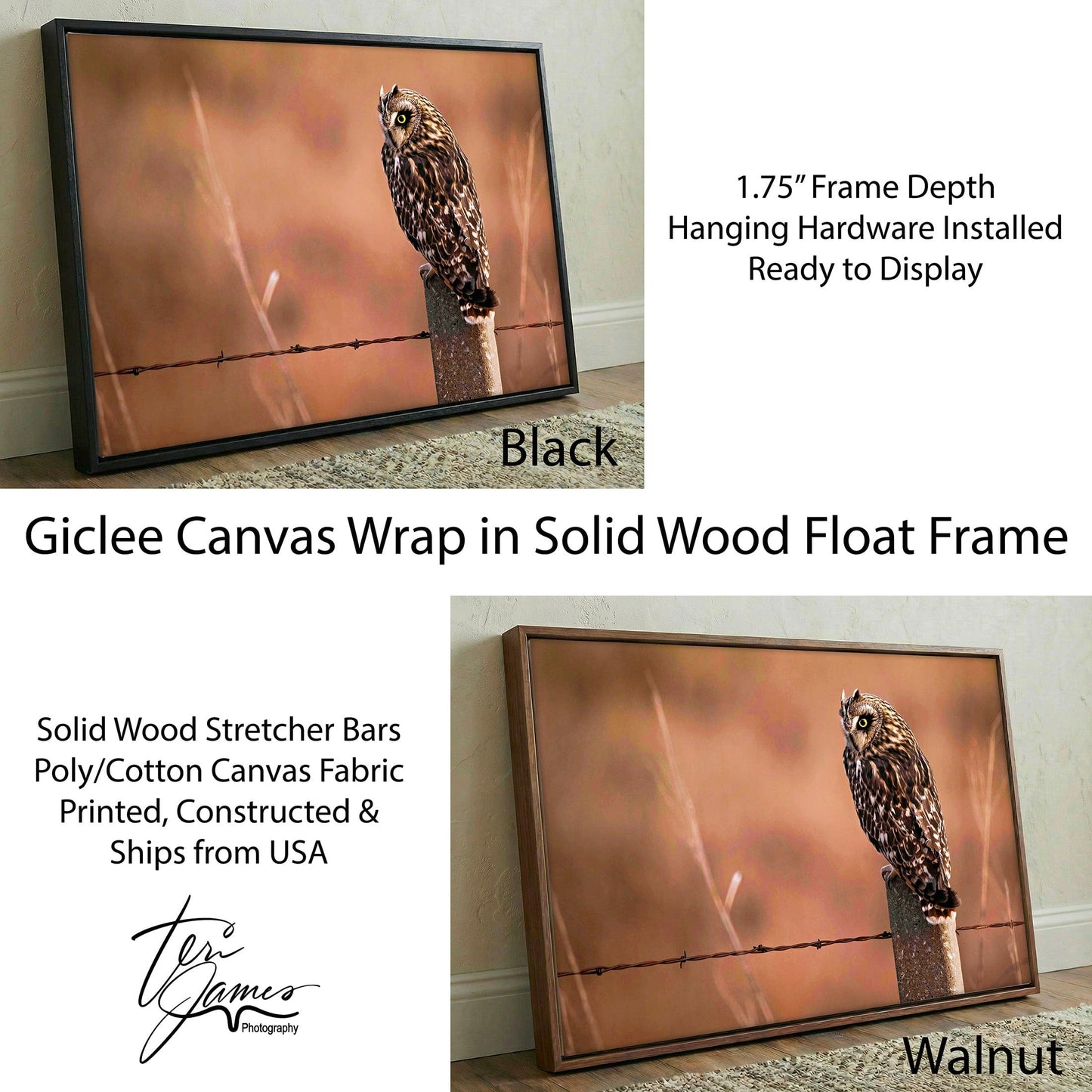 Owl Artwork Canvas – Short Eared Owl Print - Earth Tone Wildlife Wall Art Canvas-Black Frame / 12 x 18 Inches Wall Art Teri James Photography