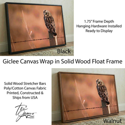 Owl Artwork Canvas – Short Eared Owl Print - Earth Tone Wildlife Wall Art Canvas-Black Frame / 12 x 18 Inches Wall Art Teri James Photography