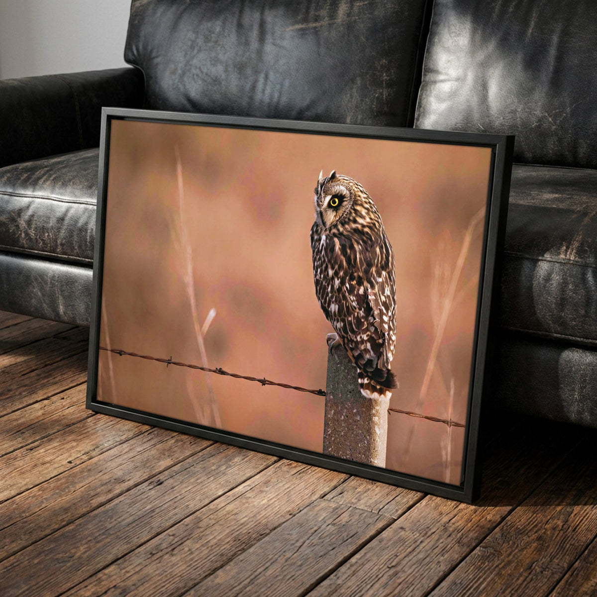 Owl Artwork Canvas – Short Eared Owl Print Canvas-Black Frame / 12 x 18 Inches