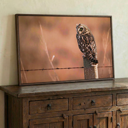 Owl Artwork Canvas, Short Eared Owl Wall Art Teri James Photography