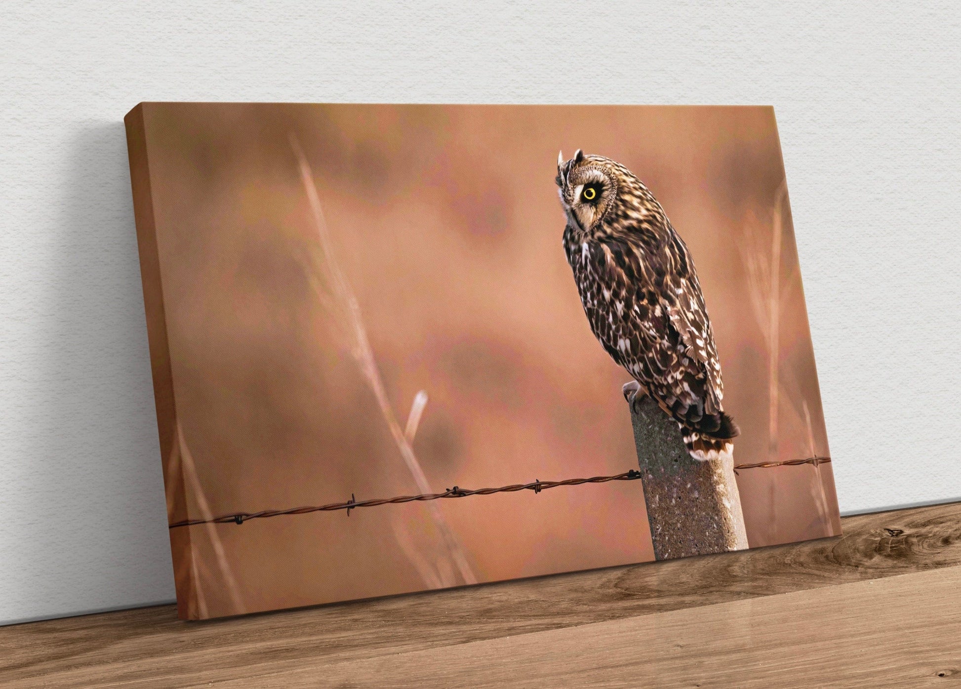 Owl Artwork Canvas, Short Eared Owl Canvas-Unframed / 12 x 18 Inches Wall Art Teri James Photography