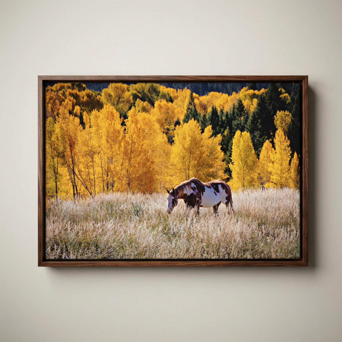 Paint Horse Canvas - Western Wall Art