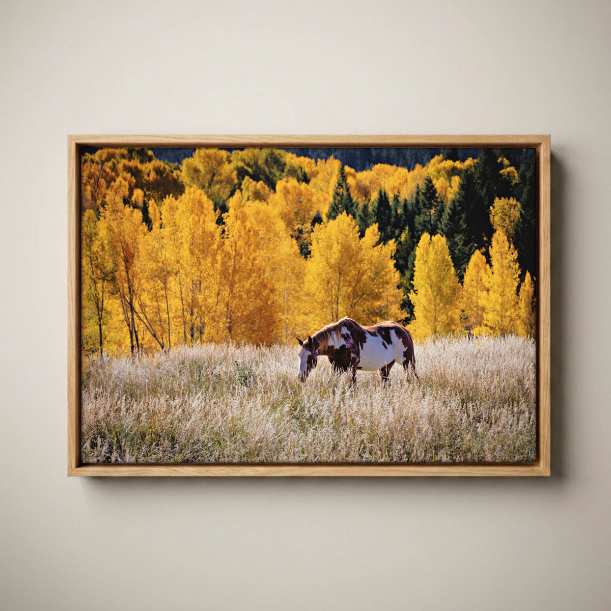 Paint Horse Canvas - Western Wall Art Canvas-Natural Oak Float Frame / 12 x 18 Inches