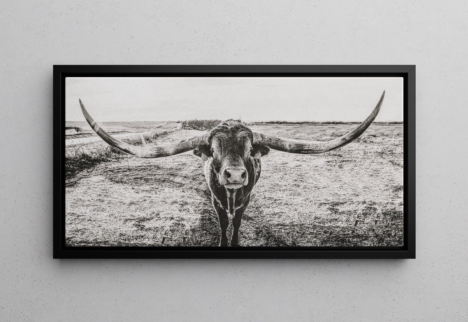 Panoramic Longhorn Canvas Print Canvas-Black Frame / 10 x 20 Inches Wall Art Teri James Photography