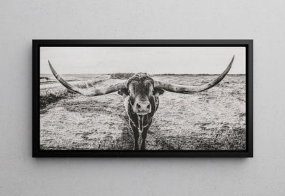 Panoramic Longhorn Canvas Print Canvas-Black Frame / 10 x 20 Inches Wall Art Teri James Photography