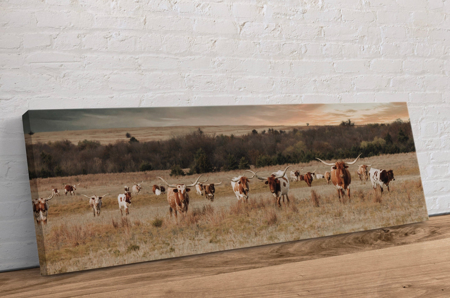 Panoramic Texas Longhorn Cattle Herd Canvas-Unframed / 12 x 36 Inches Wall Art Teri James Photography