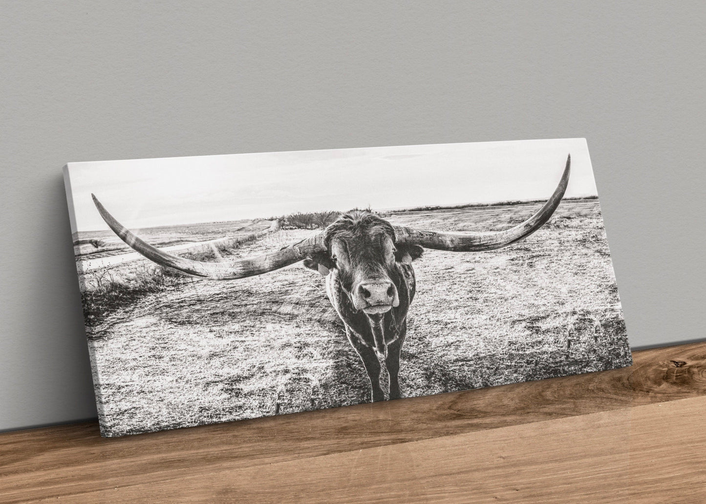 Panoramic Texas Longhorn Wall Canvas in Black & White Canvas-Unframed / 10 x 20 Inches Wall Art Teri James Photography