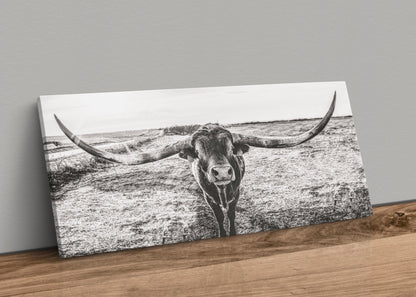 Panoramic Texas Longhorn Wall Canvas in Black & White Canvas-Unframed / 10 x 20 Inches Wall Art Teri James Photography