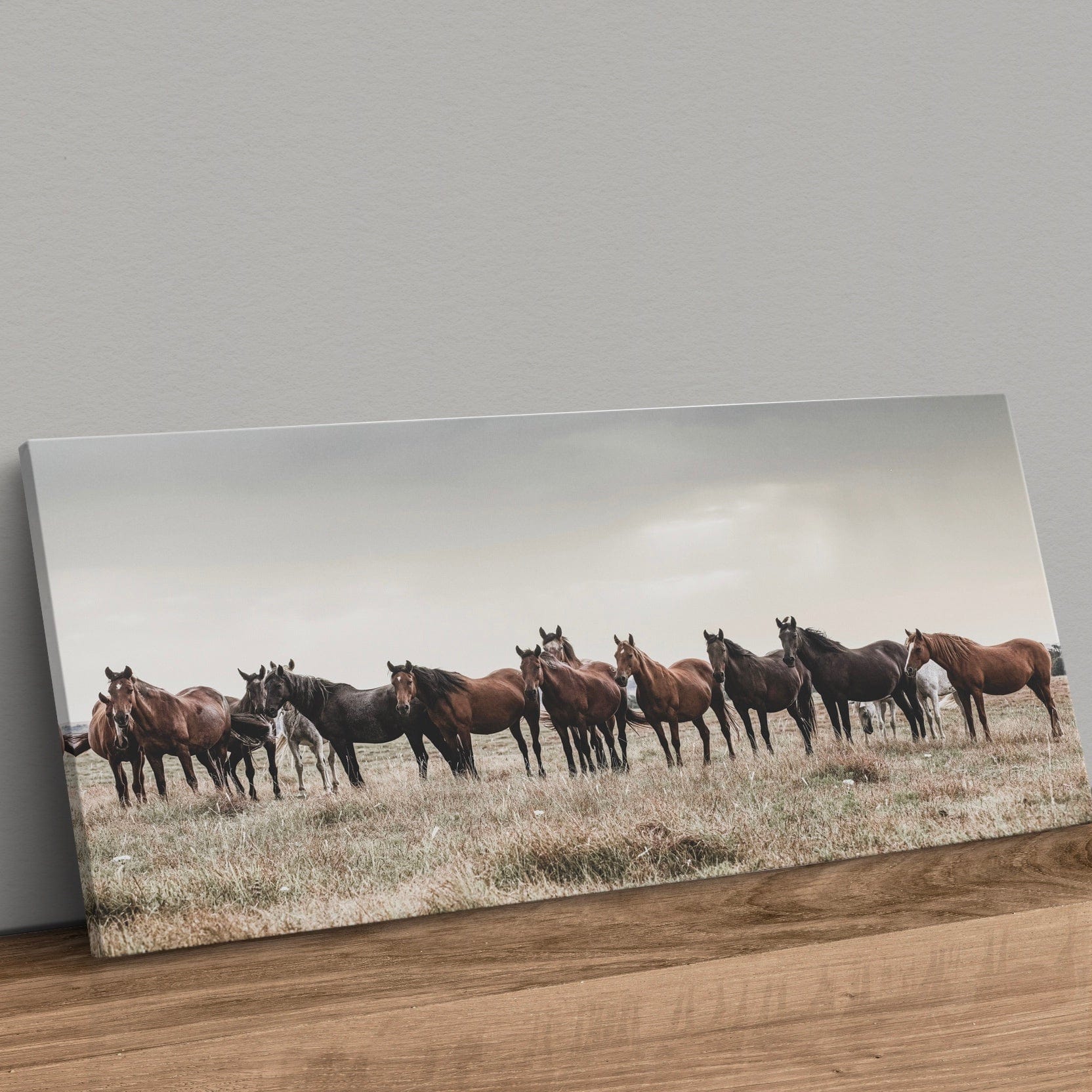 Panoramic Wild Horse Canvas Print Canvas-Unframed / 10 x 20 Inches Wall Art Teri James Photography