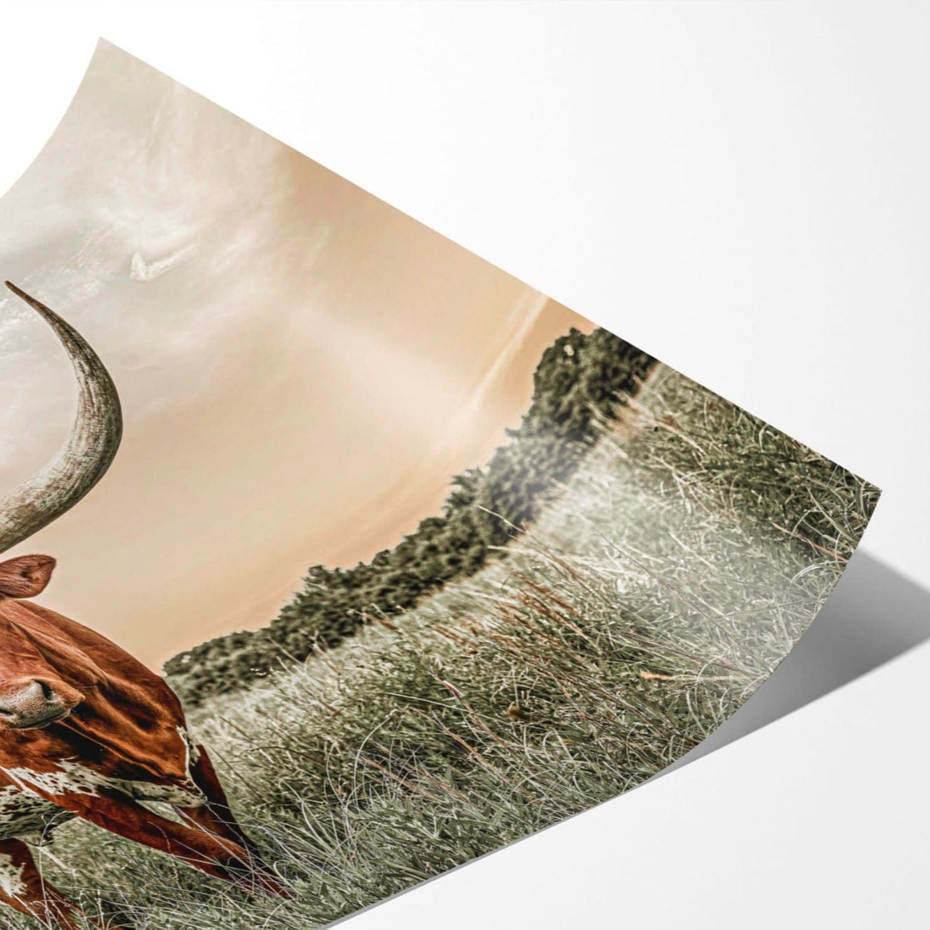 high quality photo paper print
