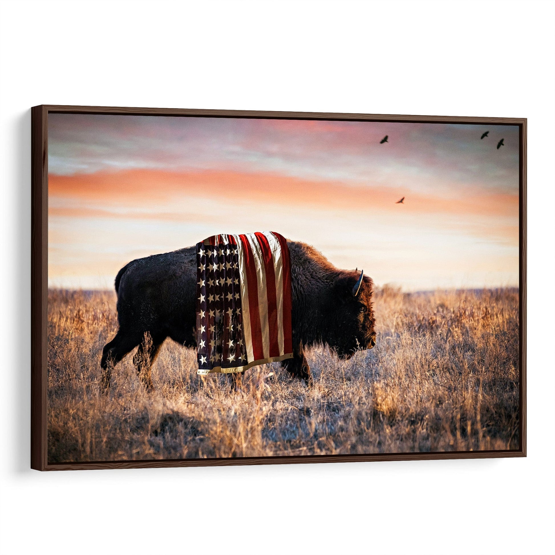 Patriotic American Bison Canvas Wall Decor Canvas-Walnut Frame / 12 x 18 Inches Wall Art Teri James Photography