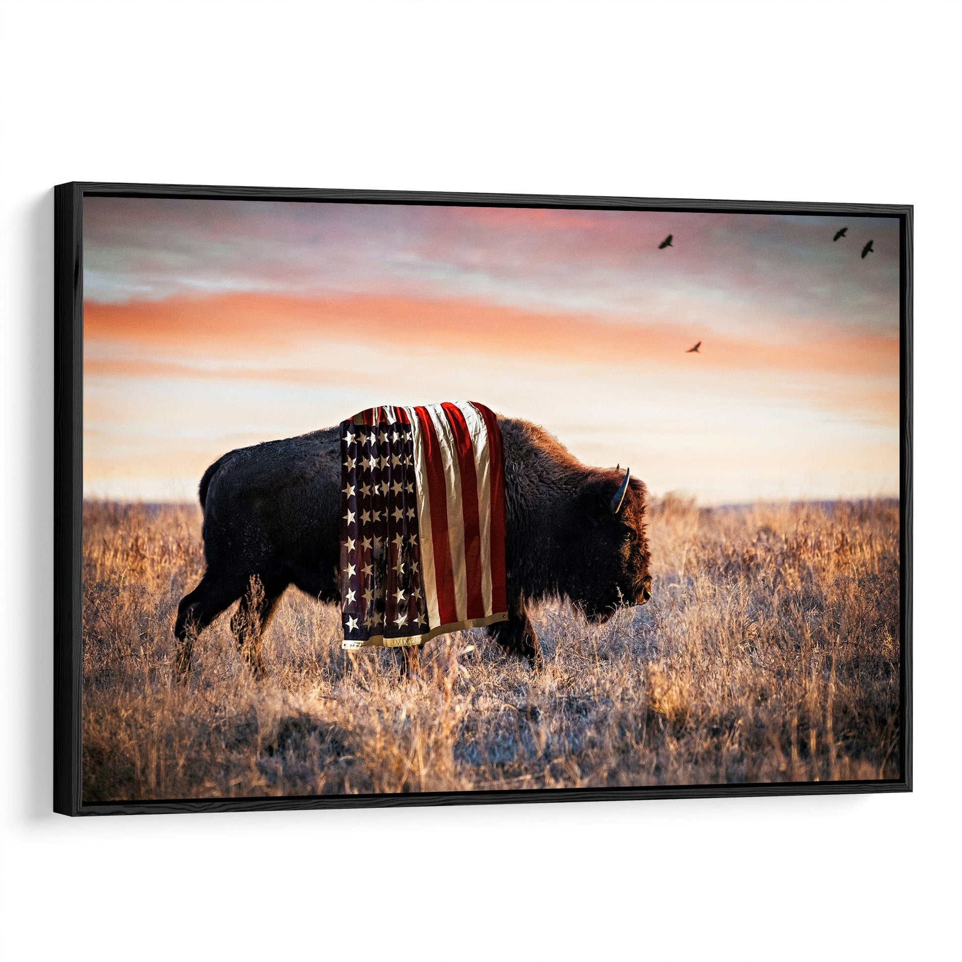 Patriotic American Bison Canvas Wall Decor Canvas-Black Frame / 12 x 18 Inches Wall Art Teri James Photography
