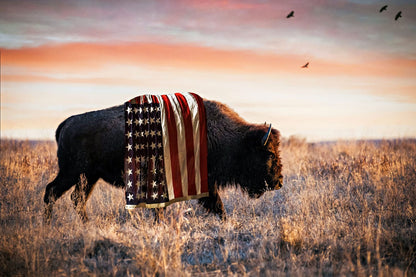 Patriotic Canvas Wall Decor - American Bison Paper Photo Print / 12 x 18 Inches Wall Art Teri James Photography
