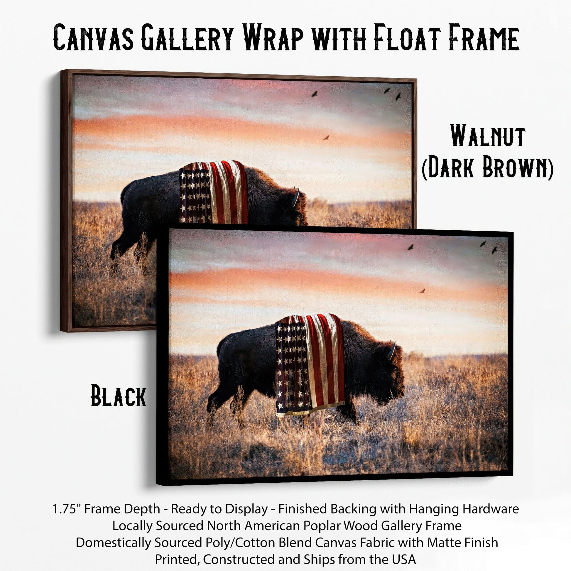 Patriotic Canvas Wall Decor - American Bison Canvas-Black Frame / 12 x 18 Inches Wall Art Teri James Photography