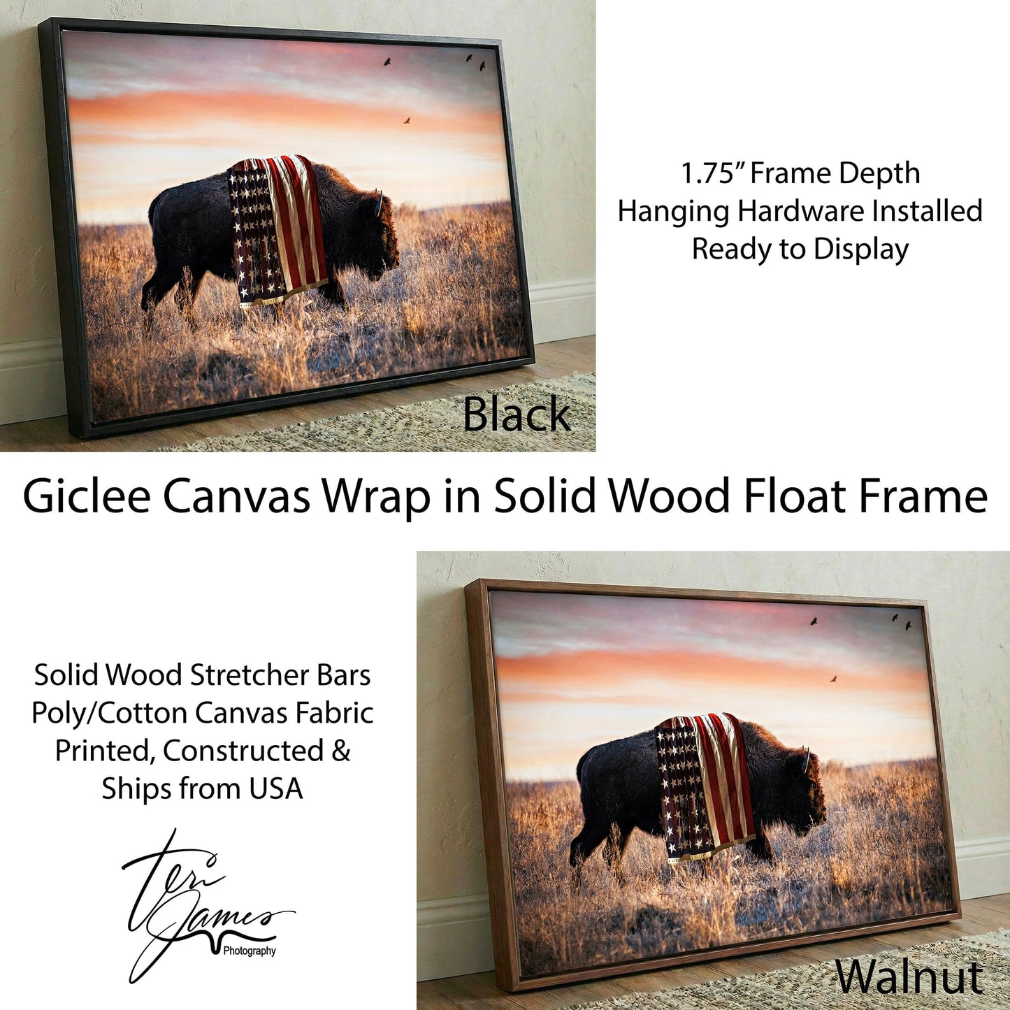 Patriotic Canvas Wall Decor - American Bison Canvas-Black Frame / 12 x 18 Inches Wall Art Teri James Photography