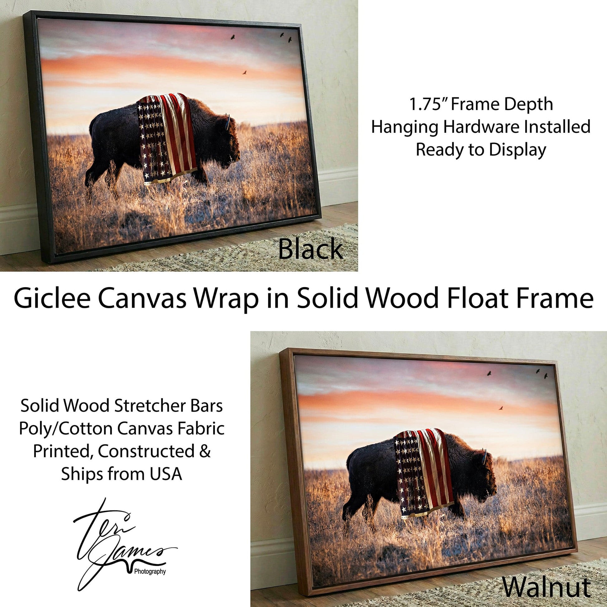 Patriotic Canvas Wall Decor - American Bison Canvas-Black Frame / 12 x 18 Inches Wall Art Teri James Photography