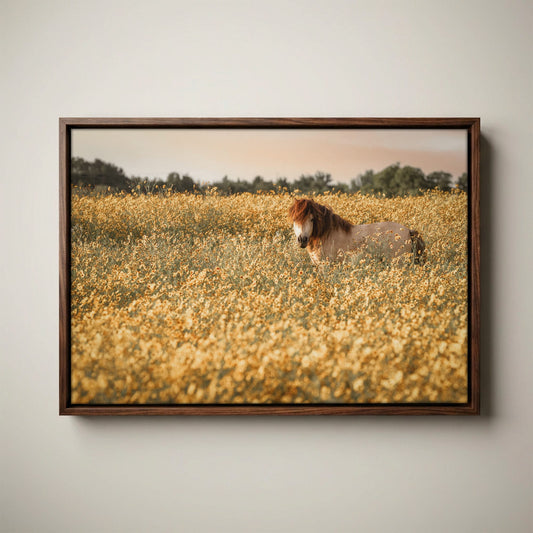 Pony Nursery Art - Kids Wall Art Canvas Print
