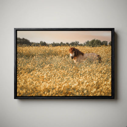 Pony Nursery Art - Kids Wall Art Canvas Print