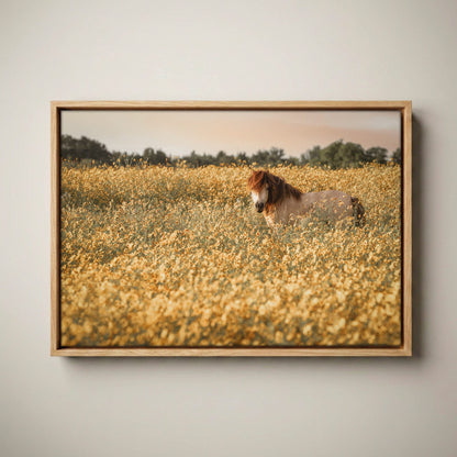 Pony Nursery Art - Kids Wall Art Canvas Print Canvas-Natural Oak Float Frame / 12 x 18 Inches