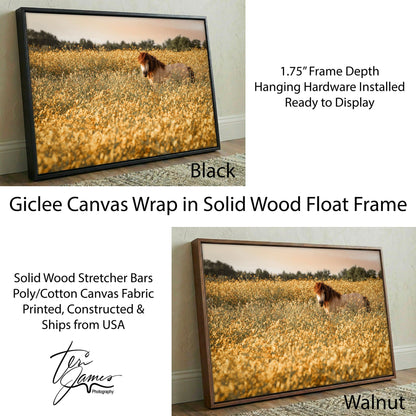 Pony Nursery Art - Kids Wall Art Canvas Print With Soft Nursery Artwork Canvas-Black Frame / 12 x 18 Inches Wall Art Teri James Photography