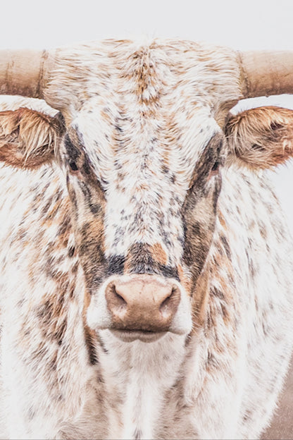 Vertical Longhorn Canvas Print in Farmhouse Style