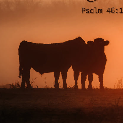 Psalm 46:10 | Be Still Wall Art | Christian Scripture Canvas Print
