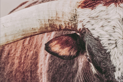 Western Canvas Wall Art Featuring Longhorn Bull Print - Rustic Cowboy Decor