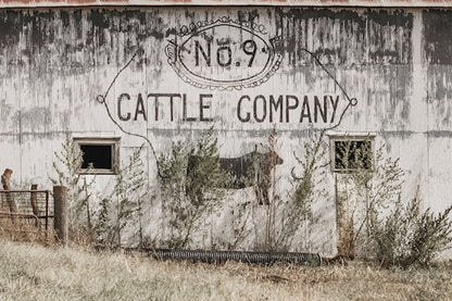 No 9 Cattle Company Barn
