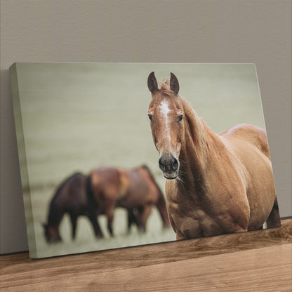 Ranch Horse Canvas Print- Western Wall Art Canvas-Unframed / 12 x 18 Inches