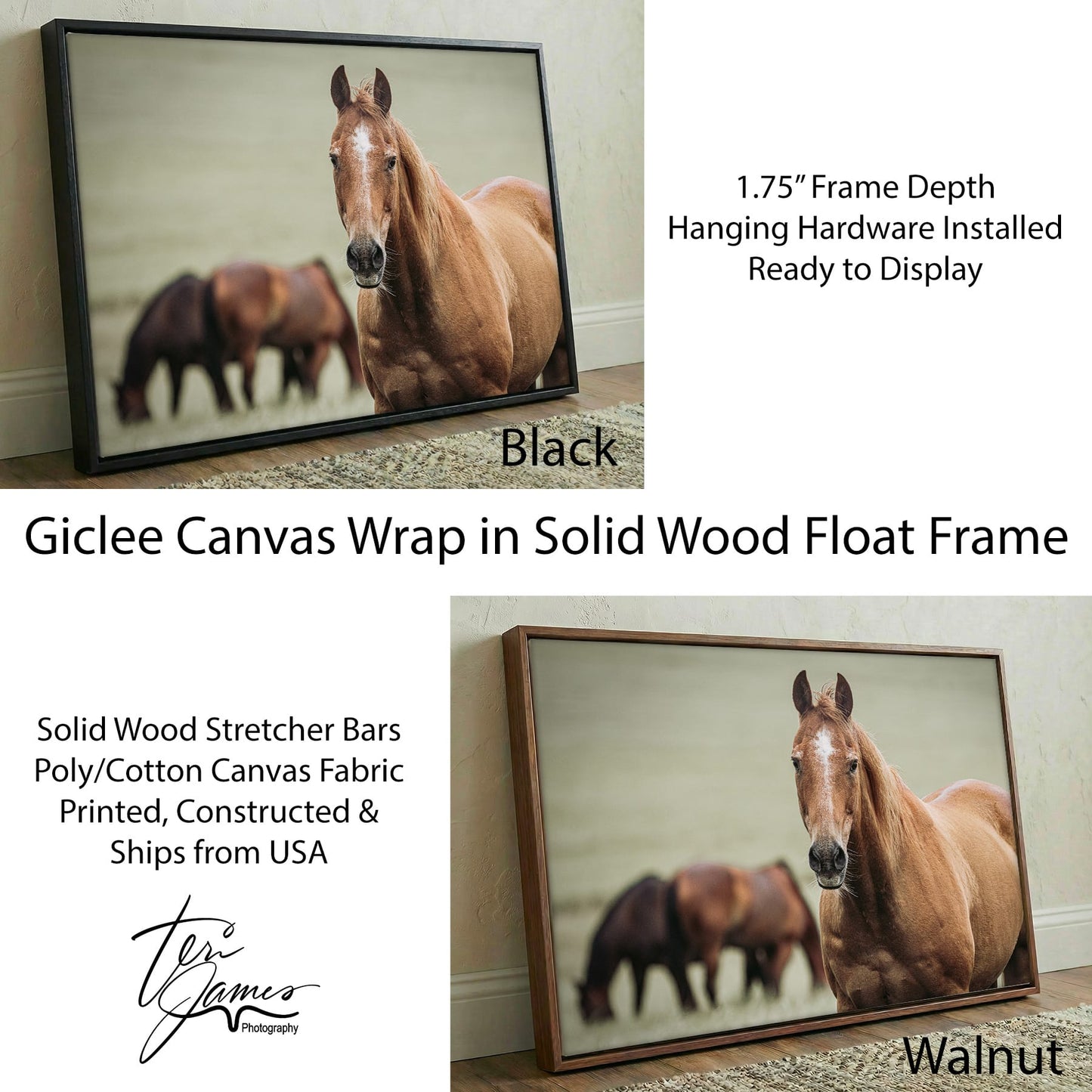 Ranch Horse Canvas Print- Western Wall Art