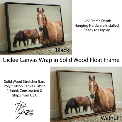 Ranch Horse Canvas Print- Western Wall Art