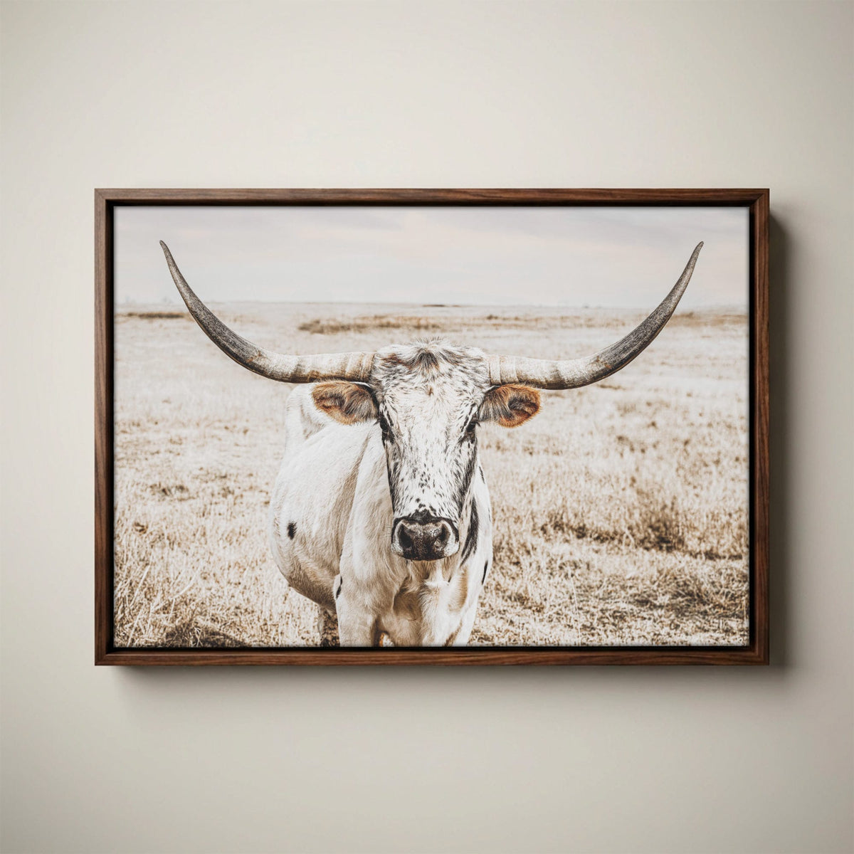 Ranch House Decor Wall Art - Longhorn Photography