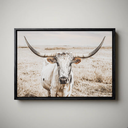 Ranch House Decor Wall Art - Longhorn Photography
