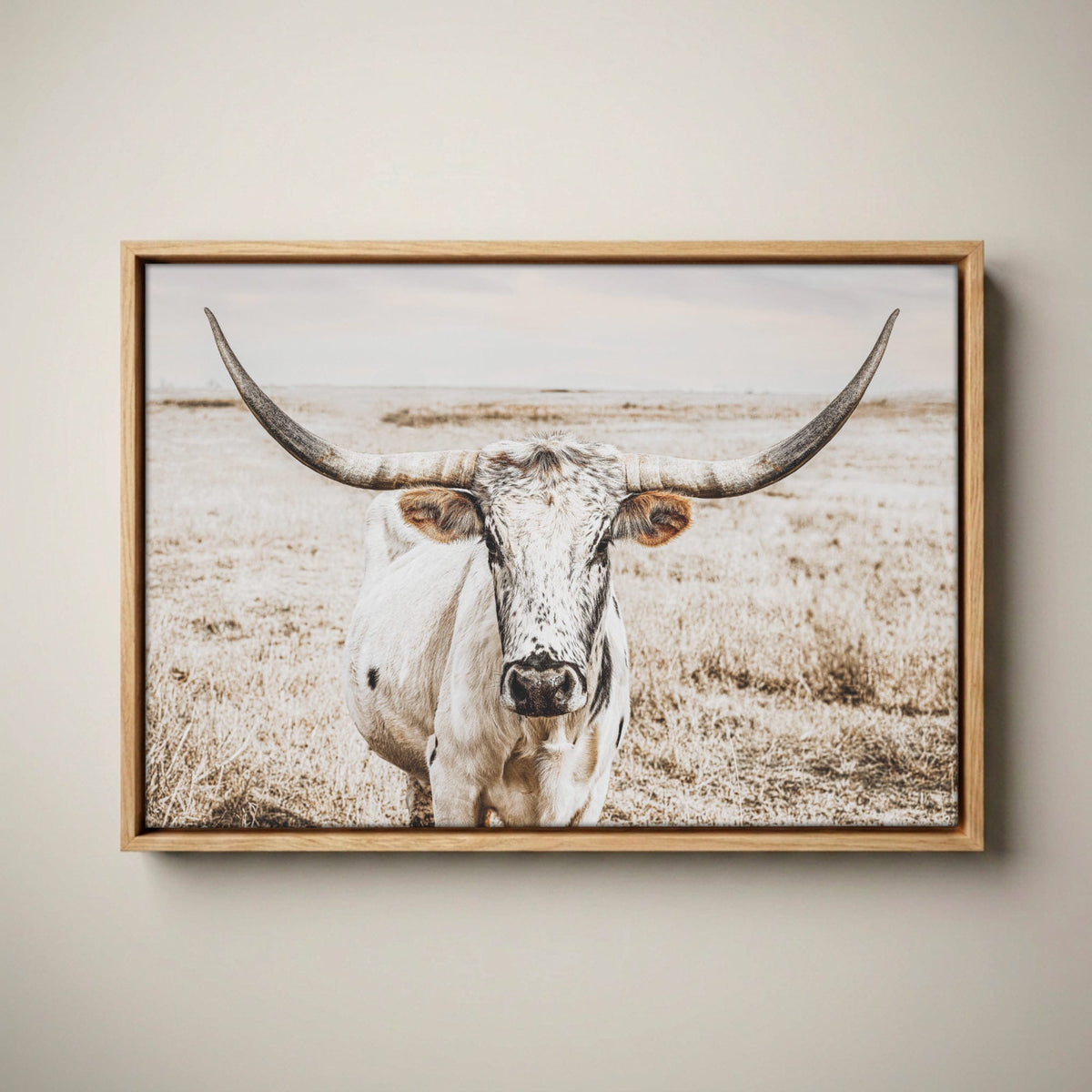 Ranch House Decor Wall Art - Longhorn Photography Canvas-Natural Oak Float Frame / 12 x 18 Inches