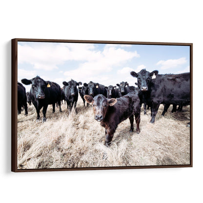 Ranch Style Black Angus Cattle - Angus Cows and Calf Canvas-Walnut Frame / 12 x 18 Inches Wall Art Teri James Photography