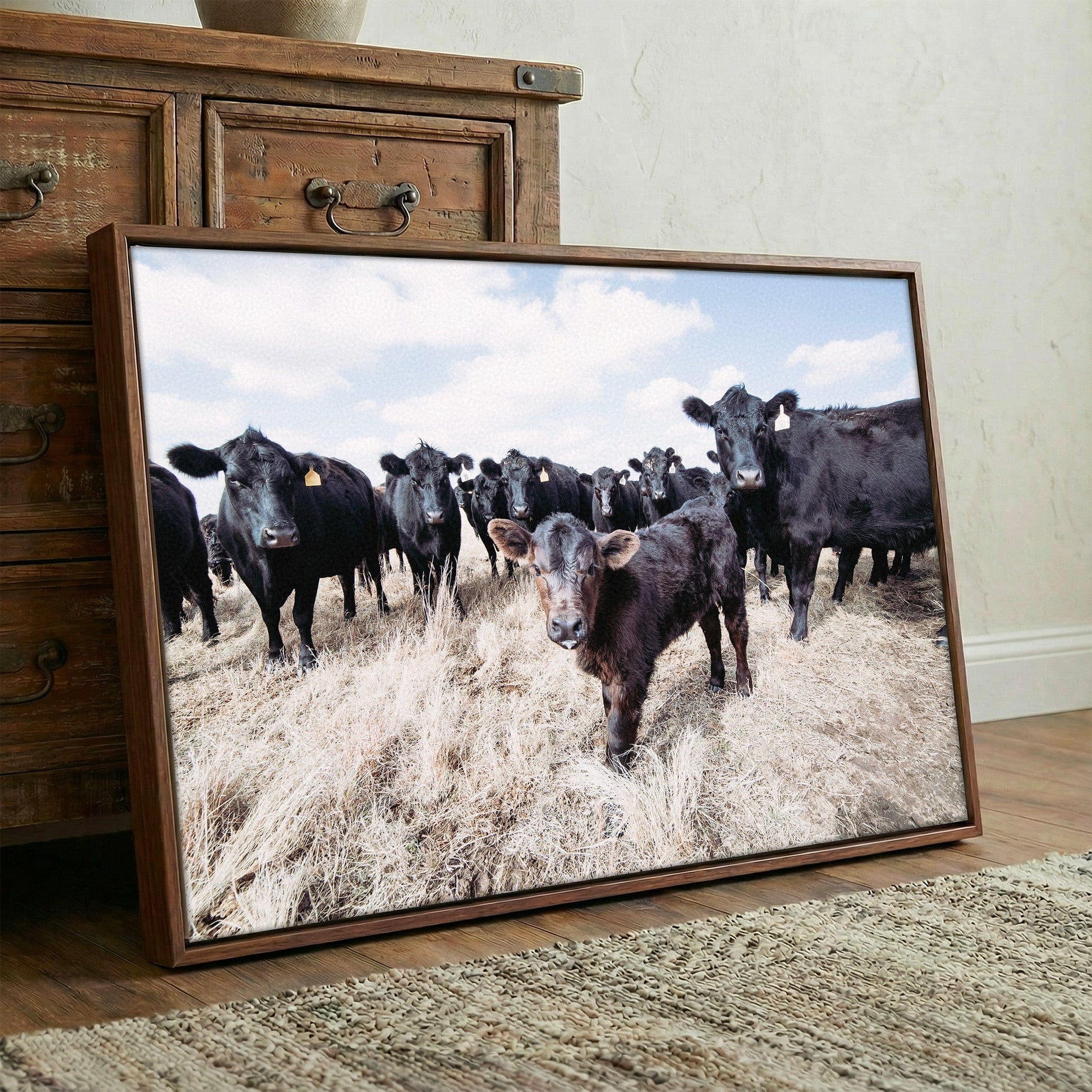 Ranch Style Decor Wall Art - Black Angus Cattle Wall Art Teri James Photography