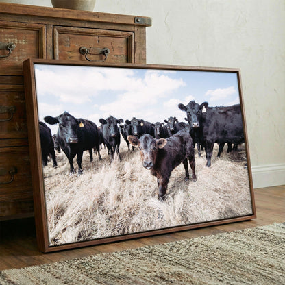 Ranch Style Decor Wall Art - Black Angus Cattle Wall Art Teri James Photography