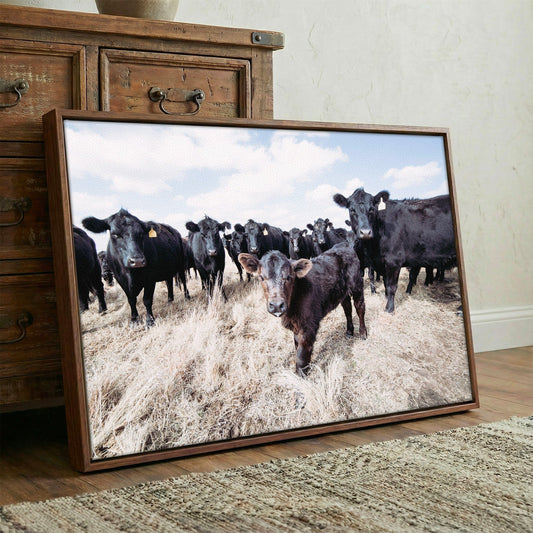 Ranch Style Decor Wall Art - Black Angus Cattle Wall Art Teri James Photography