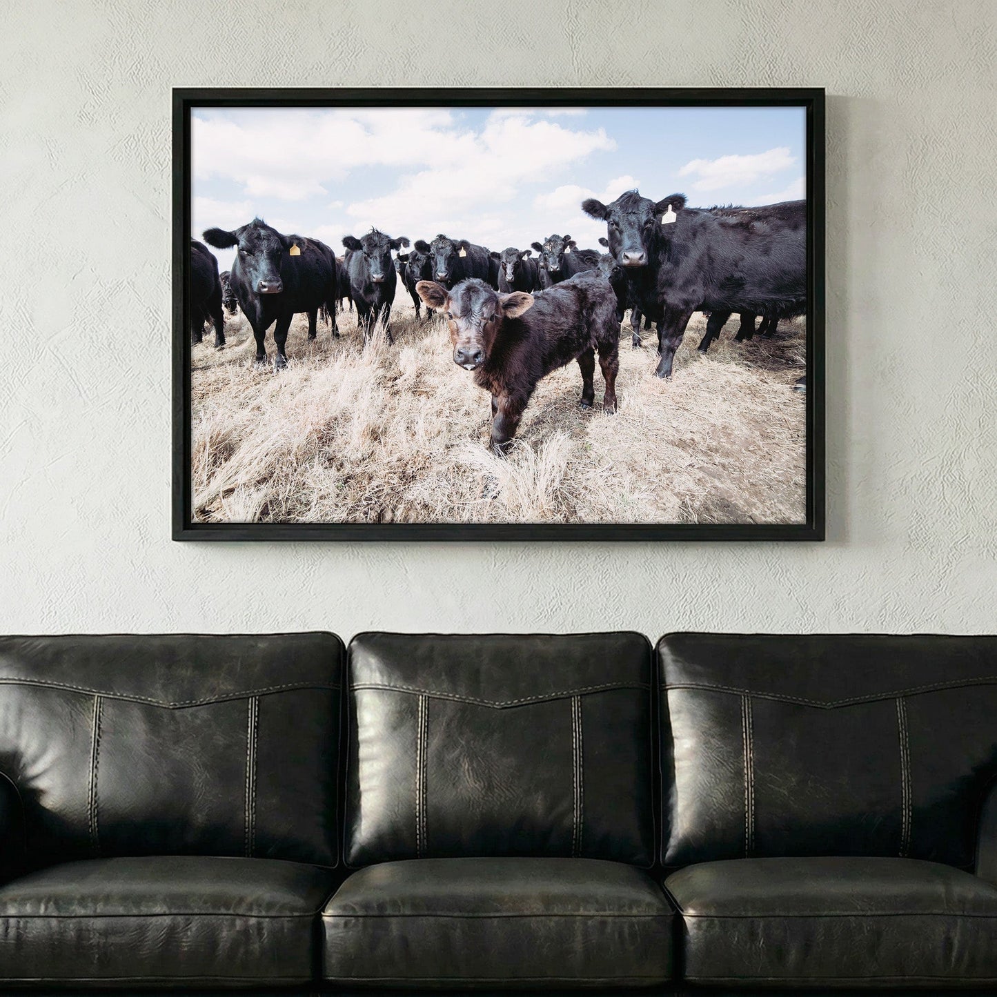 Ranch Style Decor Wall Art - Black Angus Cattle Wall Art Teri James Photography
