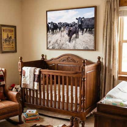 Ranch Style Decor Wall Art - Black Angus Cattle Wall Art Teri James Photography