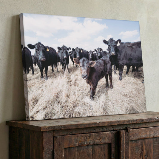 Ranch Style Decor Wall Art - Black Angus Cattle Wall Art Teri James Photography