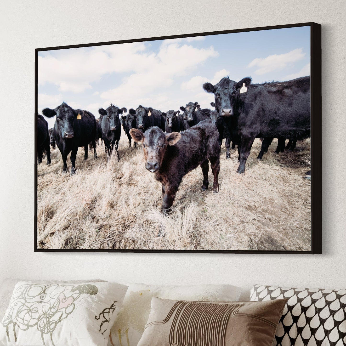 Ranch Style Decor Wall Art - Black Angus Cattle Wall Art Teri James Photography
