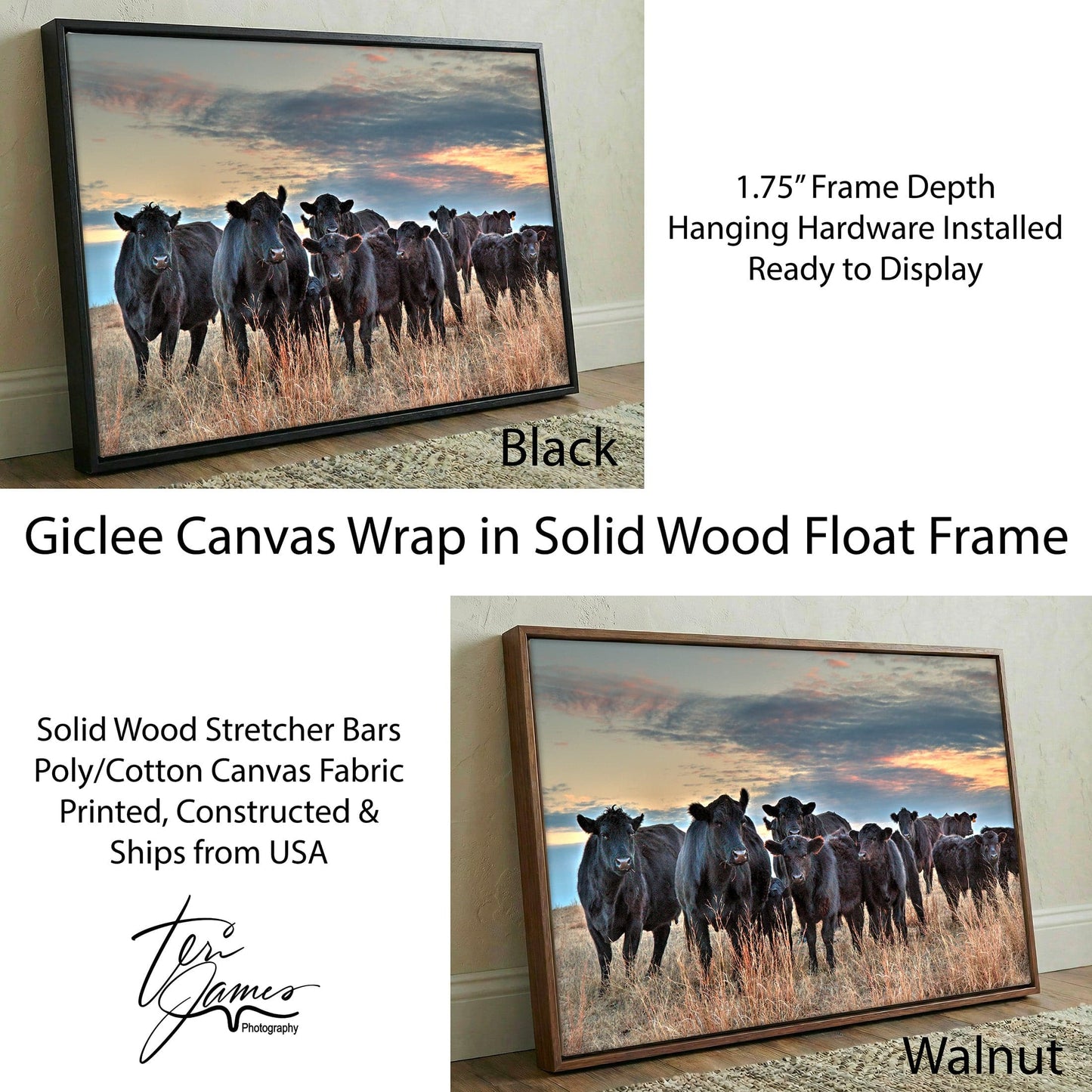 Ranch Style Wall Art - Black Angus Cattle Canvas for Rustic Home Decor Canvas-Black Frame / 12 x 18 Inches Wall Art Teri James Photography