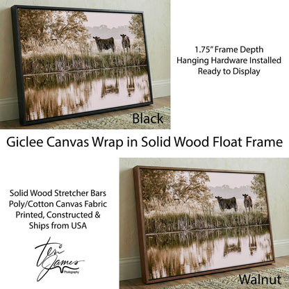 Ranch Style Wall Decor – Angus Cattle Art Rustic Farmhouse Canvas Print Canvas-Black Frame / 12 x 18 Inches Wall Art Teri James Photography