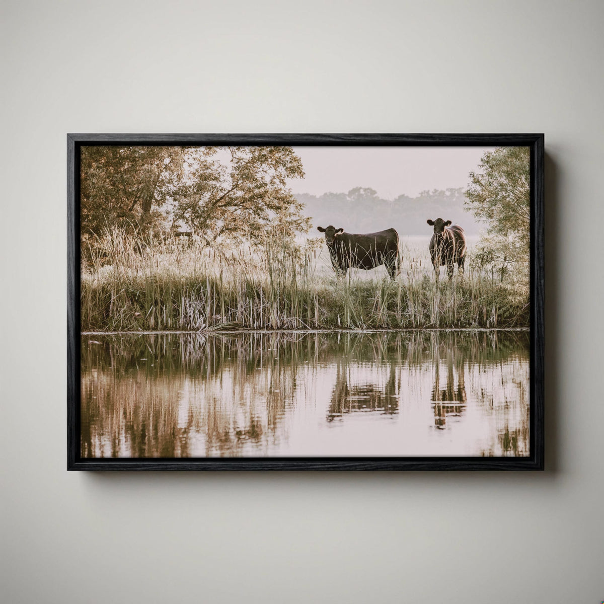Ranch Style Wall Decor – Angus Cattle Art