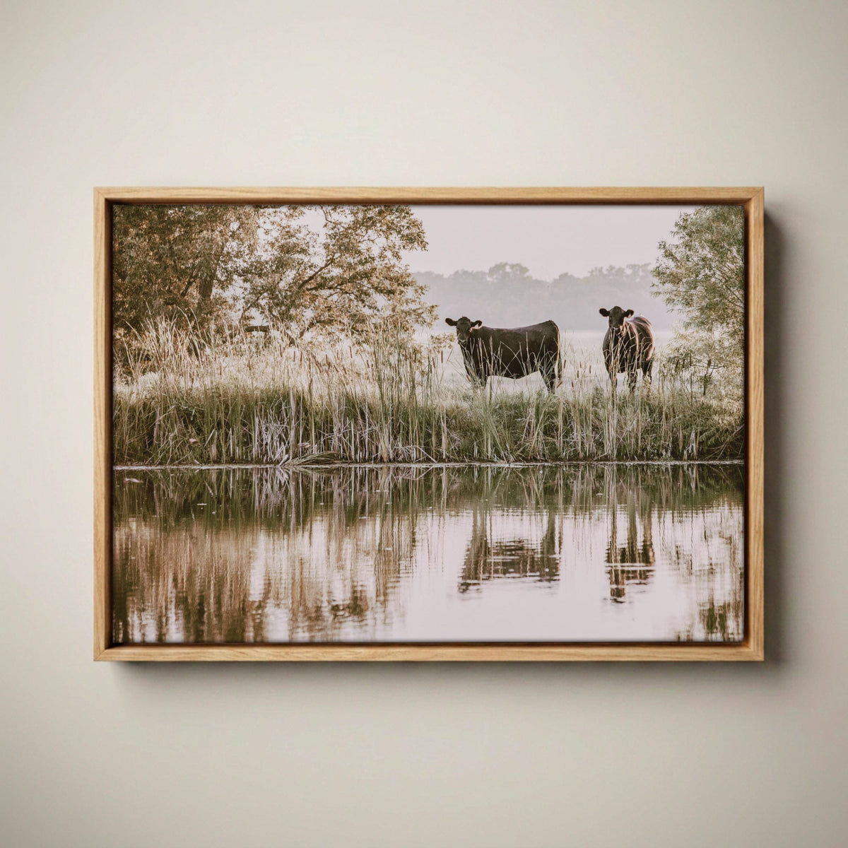Ranch Style Wall Decor – Angus Cattle Art Canvas-Natural Oak Float Frame / 12 x 18 Inches