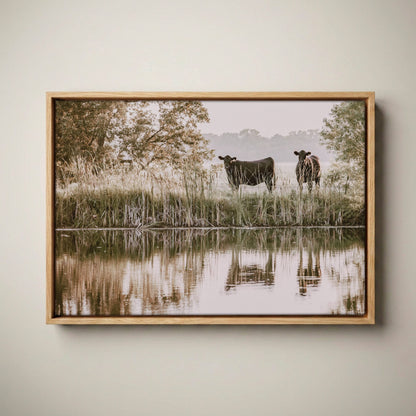 Ranch Style Wall Decor – Angus Cattle Art Canvas-Natural Oak Float Frame / 12 x 18 Inches